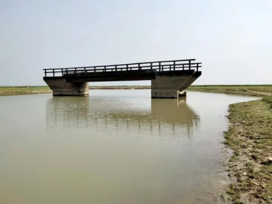 মূল সড়ক থেকে কয়েক মিটার দূরে সেতুটির দায়িত্ব কোনো দপ্তর নিচ্ছে না