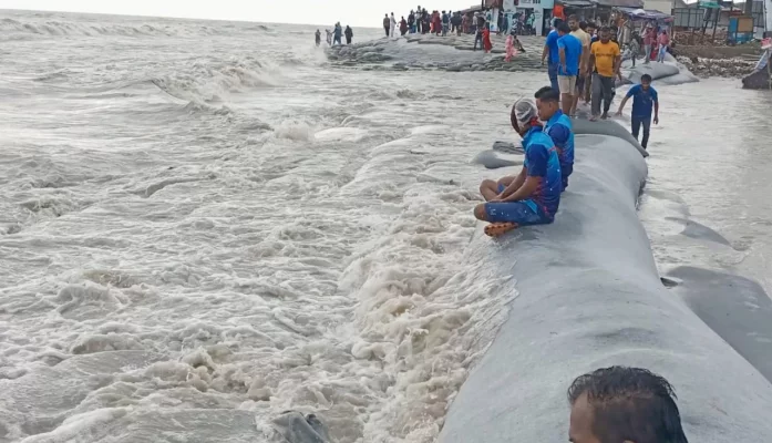 সমুদ্রে নিম্নচাপ সৃষ্টি হওয়ায় মাইকিং করে পর্যটকদের নিরাপদে থাকার নির্দেশ দিচ্ছে টুরিস্ট পুলিশ