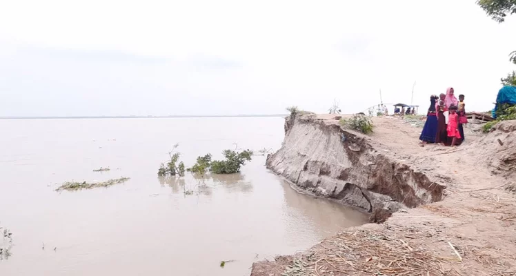  টানা ১২ দিন ধরে যমুনা নদীর পানি বৃদ্ধি অব্যাহত থাকায় ভাঙন দেখা দিয়েছে। ছবি: আজকের পত্রিকা