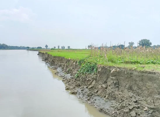 ঘিওরে আবারও নদী ভাঙনের আতঙ্কে স্থানীয়রা