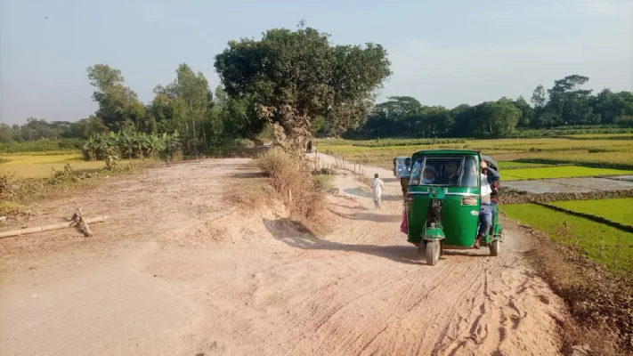 নরসিংদীর রায়পুরা উপজেলার মরজাল-রায়পুরা আঞ্চলিক সড়কে ভেঙে ফেলা সেতুর নির্মাণকাজ সাত মাসেও শুরু হয়নি।