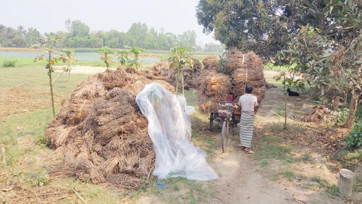 হস্তশিল্প পণ্য তৈরির আগে বিভিন্ন গ্রাম থেকে কিনে আনা হয় কচুরিপানা। তৈরির পর সেগুলো পাঠানো হয় রপ্তানিকারক প্রতিষ্ঠানে