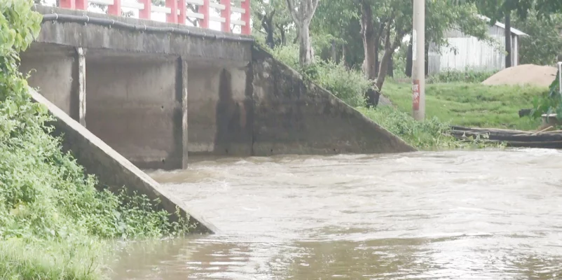 সুনামগঞ্জ সদর উপজেলার লালপুর এলাকা দিয়ে সুরমা নদীর পানি প্রবেশ করছে করচার হাওরে। ছবি: আজকের পত্রিকা