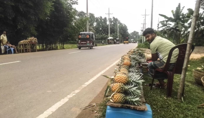 কাপাসিয়া-কিশোরগঞ্জ সড়কের পাশে দুই আনারস বিক্রেতা