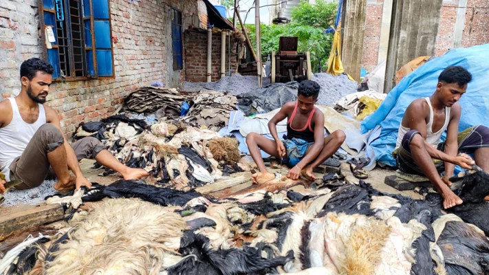 সাভার শিল্পনগরীতে চামড়া প্রক্রিয়া শুরু করেছেন শ্রমিকেরা। ছবি: আজকের পত্রিকা