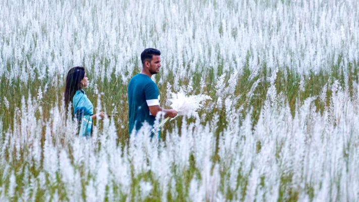 প্রকৃতি সাজবে দারুণ সাজে। ফাইল ছবি।