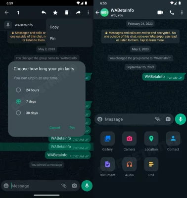 হোয়াটসঅ্যাপের ২.২৩. ২১.৪ ভার্সনে বিভিন্ন কথোপকথনের মেসেজ পিন করার সুবিধা দেখা গেছে। ছবি: ডব্লিউএবেটাইনফো