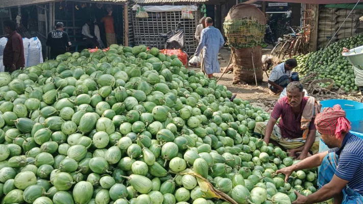 শেখপাড়া বাজারে বিক্রির জন্য আনা বেগুন