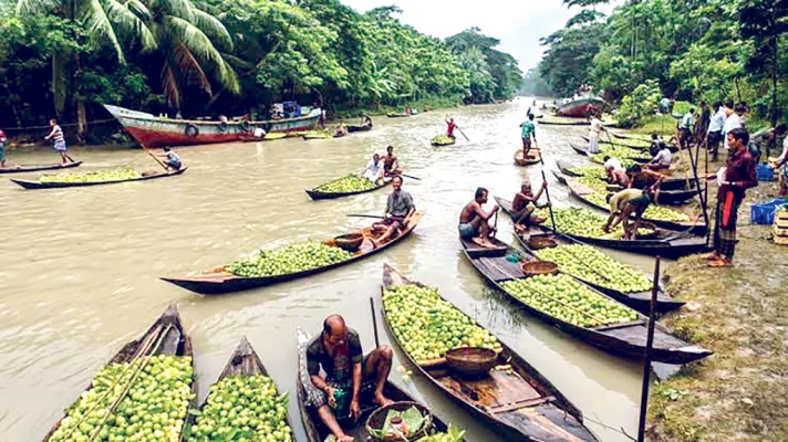 পিরোজপুরের স্বরূপকাঠি উপজেলার পেয়ারার ভাসমান বাজার।