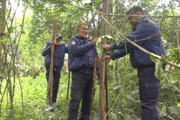 ব্রাহ্মণবাড়িয়ায় ঝোপ-জঙ্গলে অস্ত্রের খোঁজে পুলিশ