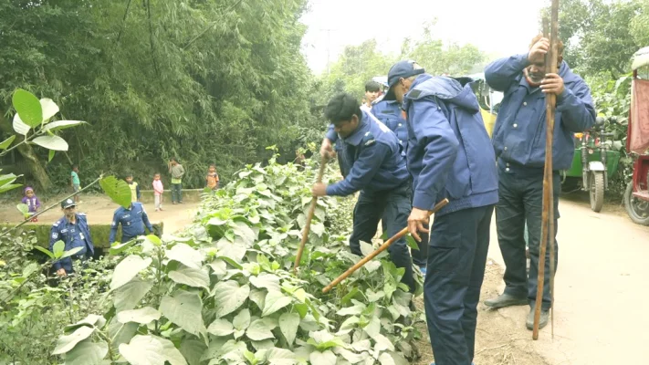 ব্রাহ্মণবাড়িয়ায় ঝোপ-জঙ্গলে অস্ত্রের খোঁজে পুলিশ