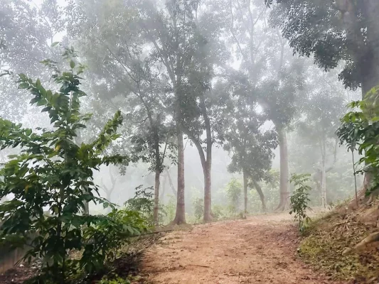 আজ দেশের সর্বনিম্ন তাপমাত্রা রেকর্ড করা হয়েছে শ্রীমঙ্গলে ৯ দশমিক ৭ ডিগ্রি সেলসিয়াস