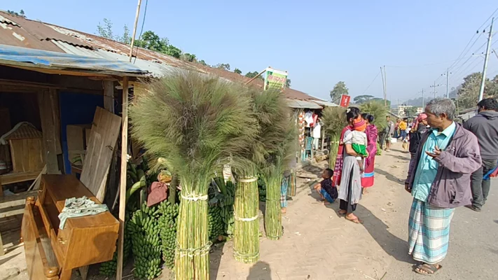 নানিয়ারচর গিলাছড়ি বাজারে বিক্রির জন্য আনা উলফুল। ছবি: আজকের পত্রিকা