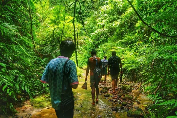 সিলেট বিভাগের সবচেয়ে সুন্দর বনগুলোর একটি লাঠিটিলা। ছবি: লেখক