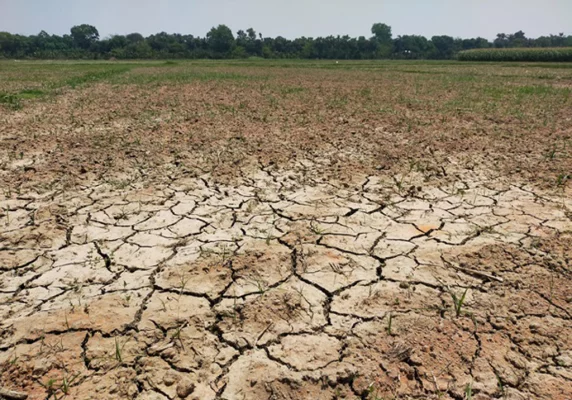 পানি সংকটে মাঠ ফেটে চৌচির। ছবি: আজকের পত্রিকা