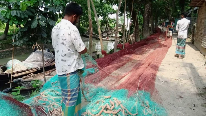 ইলিশ ধরার জন্য জাল প্রস্তুতে ব্যস্ত চাঁদপুরের জেলেরা। ছবি: আজকের পত্রিকা