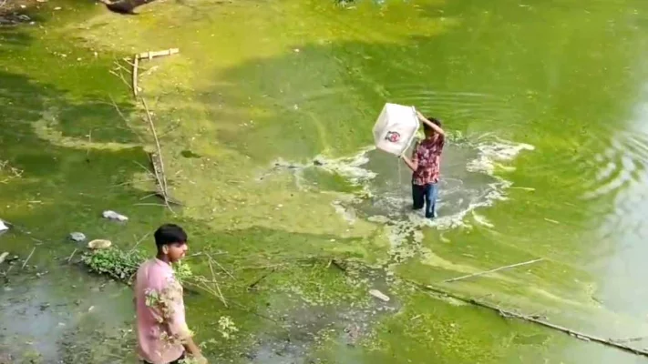 আখাউড়ায় ছিনতাই হওয়া ব্যালট বাক্স পুকুর থেকে উদ্ধার