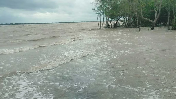 বাগেরহাটে ঘূর্ণিঝড় রিমালের প্রভাবে বেড়েছে নদ–নদীর পানি, প্লাবিত সুন্দরবন। ছবি: আজকের পত্রিকা