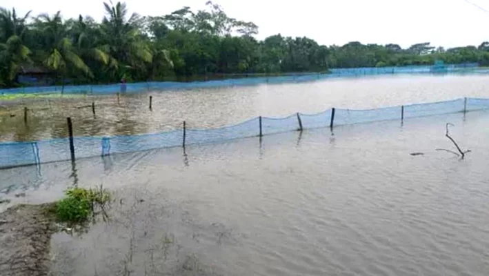 জোয়ার ও জলোচ্ছ্বাসের পানিতে ভেসে যাওয়া মাছের ঘের