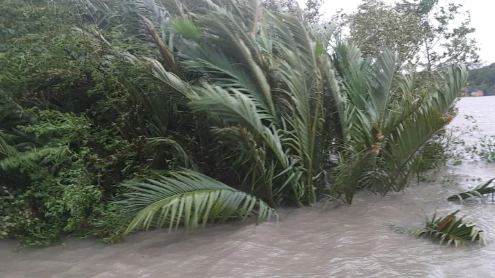 ঝড়ের কারণে সৃষ্ট জলোচ্ছ্বাসে জেলার নিম্নাঞ্চল প্লাবিত হয়েছে। ভেসে গেছে মৎস্যঘের। ছবি: আজকের পত্রিকা 