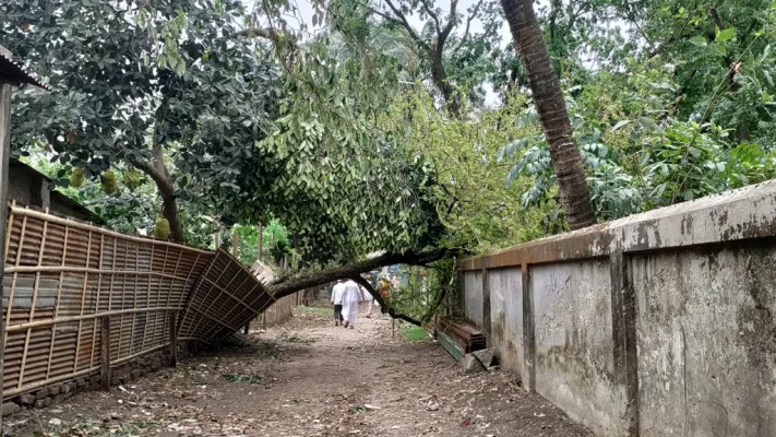 বিভিন্ন বিভিন্ন সড়কে গাছ ভেঙে পড়েছে।  ছবি: আজকের পত্রিকা