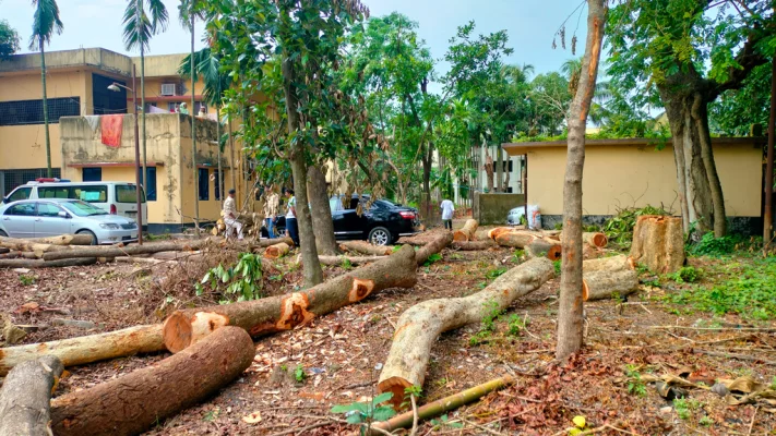 চট্টগ্রামের আনোয়ারা উপজেলা স্বাস্থ্য কমপ্লেক্সে ফলদ-বনজ গাছ কেটে ফেলে রাখা হয়েছে