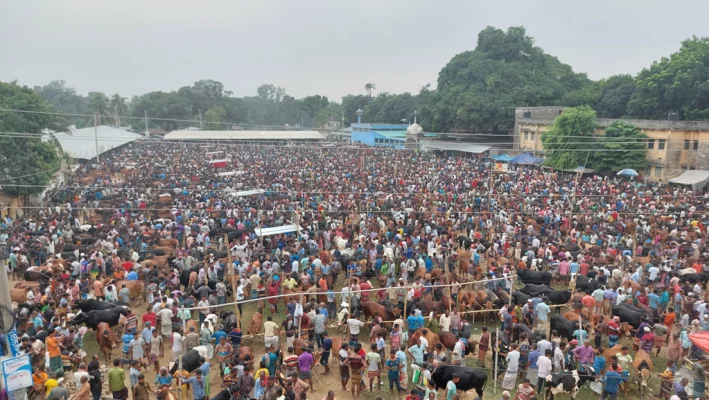 তাহেরপুরের পশুর হাট। ছবি: আজকের পত্রিকা