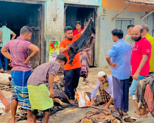 নাটোরে দাম না পেয়ে হতাশ মৌসুমি ব্যবসায়ীরা