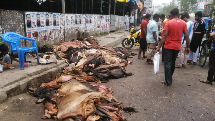 বগুড়া শহরের বিভিন্ন এলাকায় চামড়া কেনাবেচা চলছে। ছবি: সংগৃহীত 