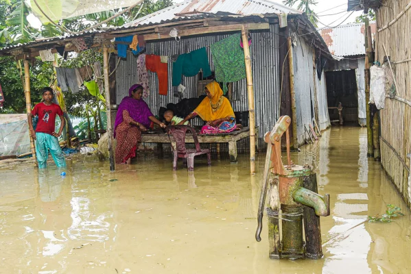 বাড়ি-ঘরে পানি ওঠায় গবাদিপশুসহ চৌকির ওপর আশ্রয় নিয়েছে একটি পরিবার। মর্ণেয়া ইউনিয়নের আলফাজটারী থেকে তোলা। ছবি: আজকের পত্রিকা