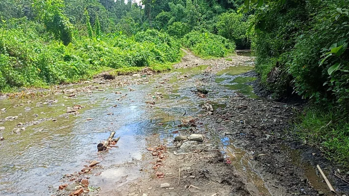 পাড়ায় যাওয়ার পথে নুনছড়ি নামের ছড়াটি পেরোতে হয়। ছবি: আজকের পত্রিকা