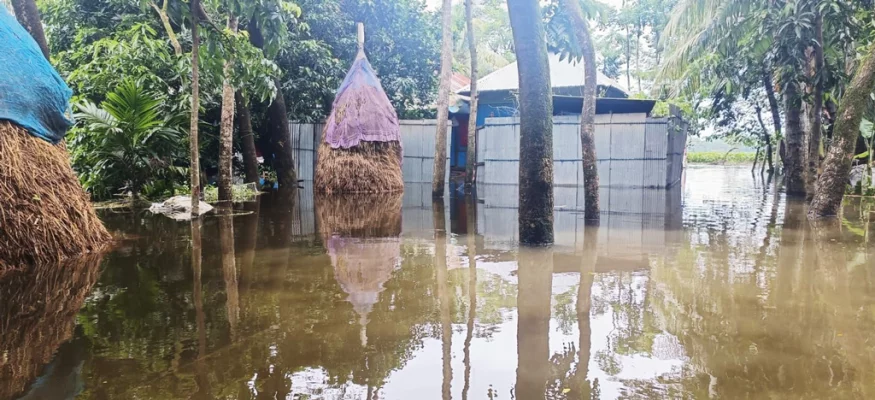 ডাকাতিয়া নদীর পানিতে প্লাবিত মনোহরগঞ্জের বিস্তীর্ণ এলাকা। ছবি: আজকের পত্রিকা