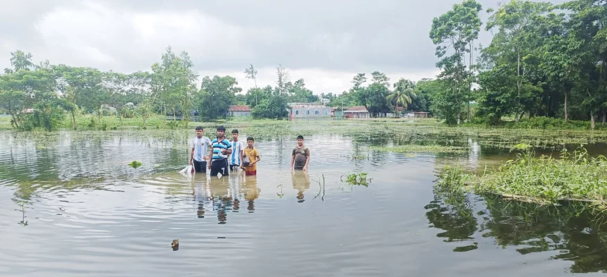 ডাকাতিয়া নদীর পানিতে প্লাবিত মনোহরগঞ্জের বিস্তীর্ণ এলাকা। ছবি: আজকের পত্রিকা