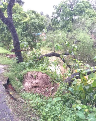 নিম্নচাপের প্রভাবে কুষ্টিয়াতে রেকর্ড পরিমাণ বৃষ্টিপাত। ছবি: আজকের পত্রিকা 