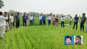 দুই কৃষকের আত্মহত্যা: তদন্ত কমিটির কাছে যা বললেন স্থানীয়রা