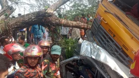 টোল প্লাজায় প্রাইভেট কারসহ কয়েকটি গাড়িকে চাপা দিল ট্রাক, নিহত ১১ 