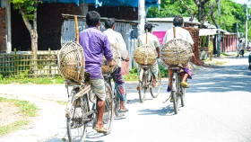 ‘দেড় মাসে কামাই হইছে মাত্র ১৩০০ টাকা’