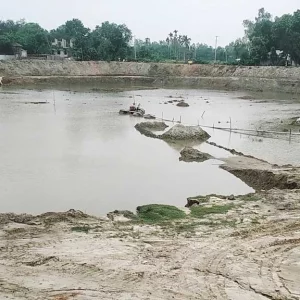 স্কুলের পুকুরে ড্রেজার, মাটি বিক্রি ইটভাটায়