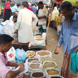 ‘মসলাপাতির দাম হুইন্ন্যা মাথা চক্কর মারছে’