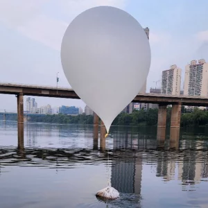 দক্ষিণ কোরিয়ায় আরও ৩ শতাধিক আবর্জনা ভর্তি বেলুন পাঠাল কিমের দেশ