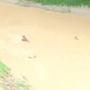 খাল পার হতে গিয়ে স্রোতে ভেসে গেলেন নানি-নাতি 