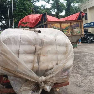 কিশোরগঞ্জে পাচারের সময় ৬০ বস্তা সার জব্দ, ডিলারের নামে মামলা