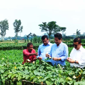 জৈব বালাইনাশকের উপযোগিতা পরীক্ষায় কৃষি বিজ্ঞানীদের সহায়তা ইউসিবির