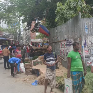 কোরবানির পশুর খাদ্য বিক্রি: জমে উঠেছে ‘একদিনের ব্যবসা’