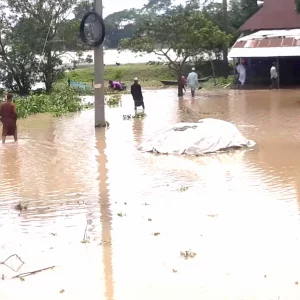 নেত্রকোনায় পানি কমছে, স্বাস্থ্য সেবায় ৮৬টি মেডিকেল টিম গঠন