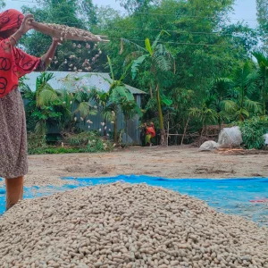  ‘তিস্তা হামার বাড়িও খাইল, বাদামও খাইল’