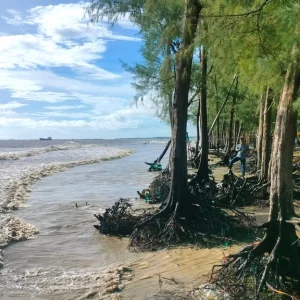 চট্টগ্রামের পারকি সৈকতে ভেঙে গেছে বেড়িবাঁধ, ঢুকছে পানি