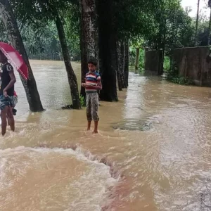 ফেনীতে তিন নদীর পানি বিপৎসীমার ওপরে, ১২ গ্রাম প্লাবিত