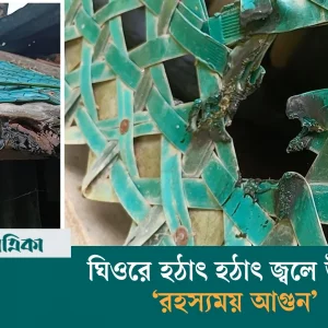 ঘিওরে ৬ দিনে ১৮ বার জ্বলে উঠছে ‘রহস্যময় আগুন’, এলাকায় তোলপাড়