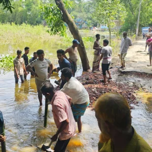 ব্রাহ্মণপাড়ায় স্বেচ্ছাশ্রমে বন্যায় ক্ষতিগ্রস্ত সড়ক সংস্কার করছেন যুবকেরা